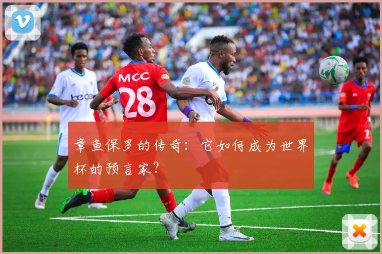 章鱼保罗的传奇：它如何成为世界杯的预言家？
