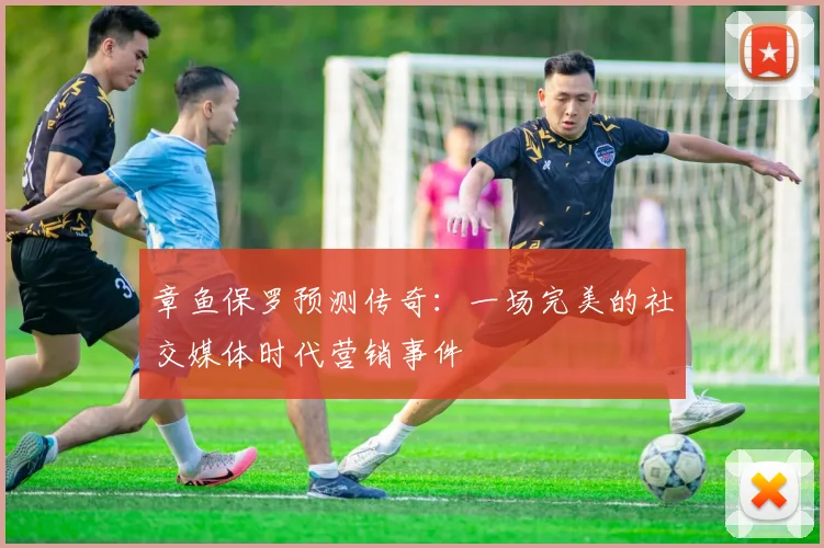 章鱼保罗预测传奇：一场完美的社交媒体时代营销事件