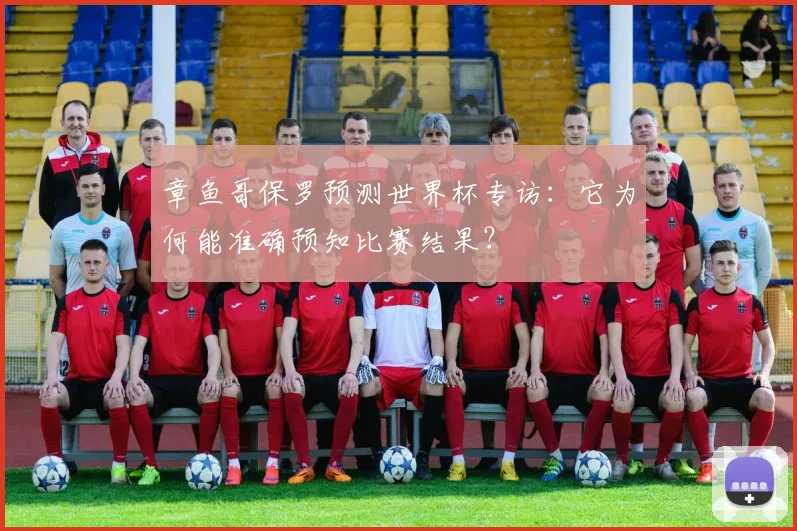 章鱼哥保罗预测世界杯专访：它为何能准确预知比赛结果？