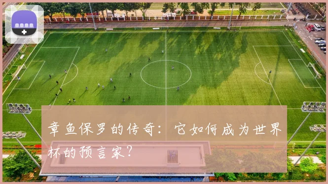 章鱼保罗的传奇：它如何成为世界杯的预言家？