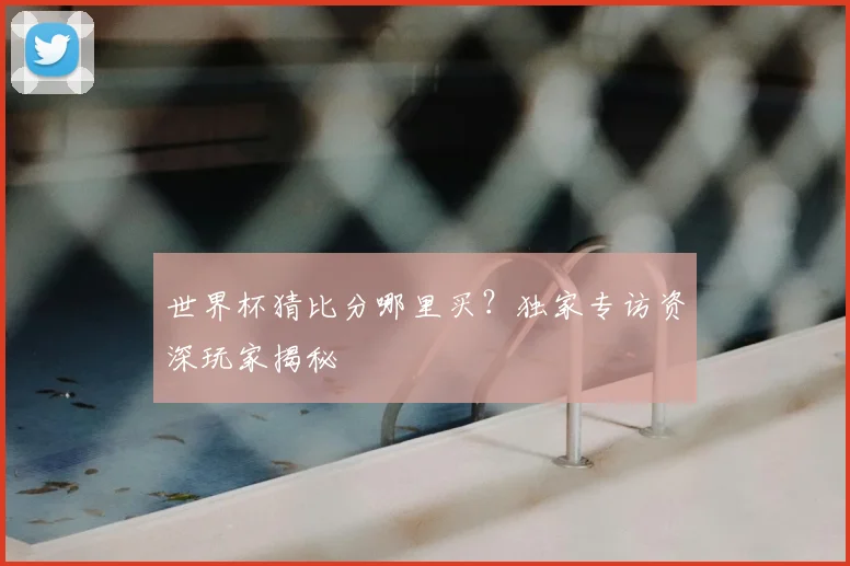 世界杯猜比分哪里买？独家专访资深玩家揭秘