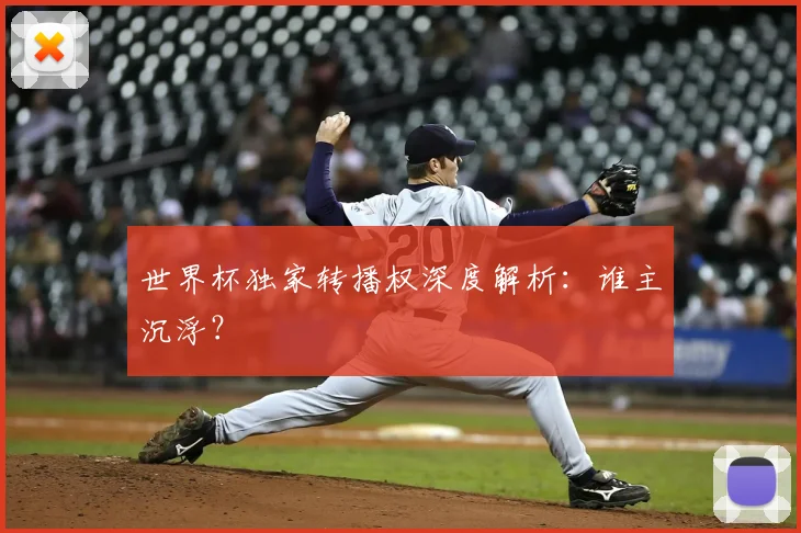 世界杯独家转播权深度解析：谁主沉浮？