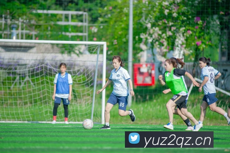 星空体育网址入口平台生态图